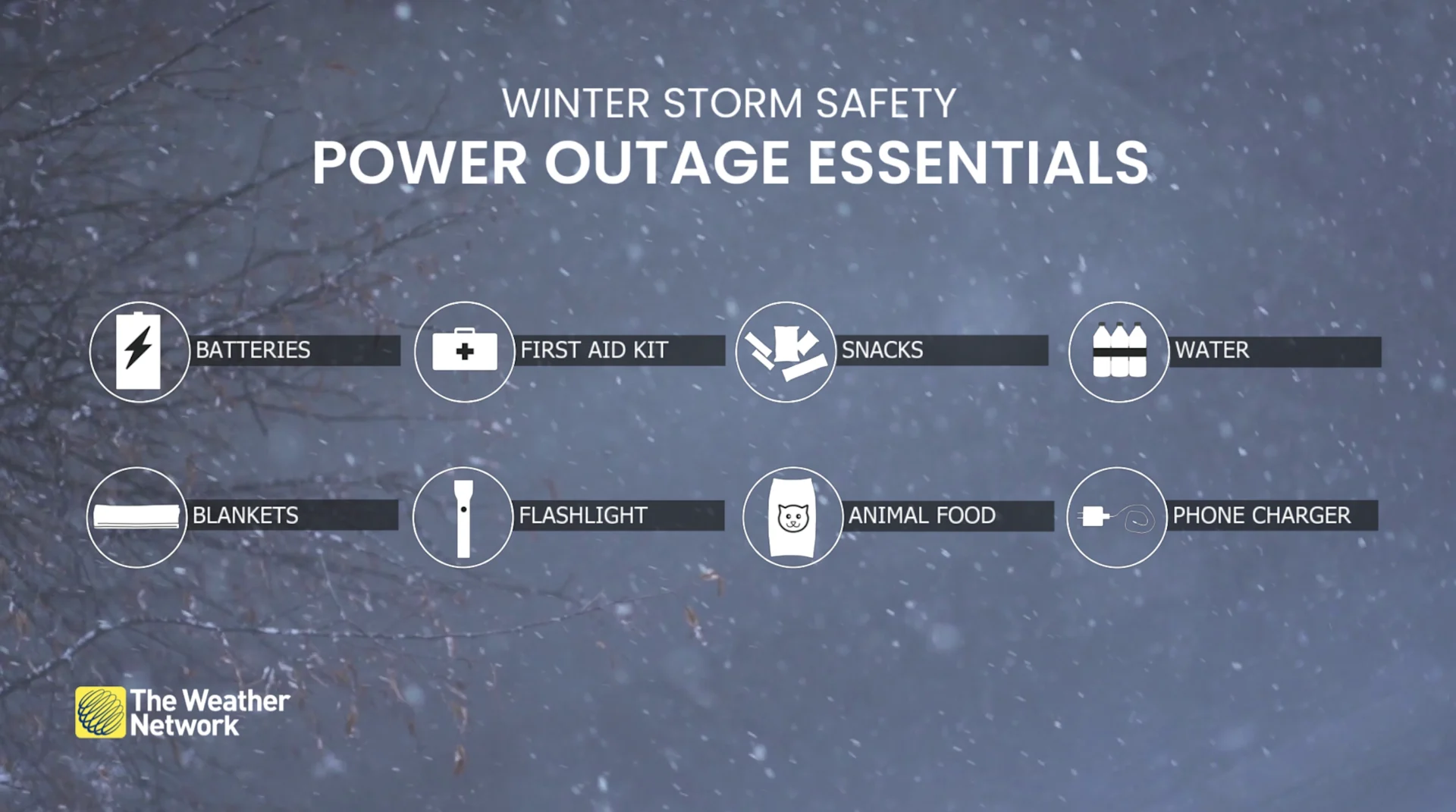 Explainer: Winter storm power outage essentials