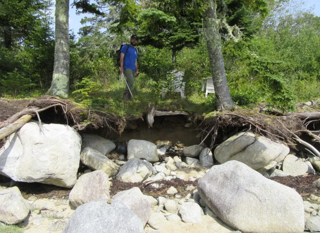 CBC: An archaeologist stands on a destroyed archaeological site near Barrington, N.S., during a 2019 survey. (Submitted by the Canadian Museum of History)