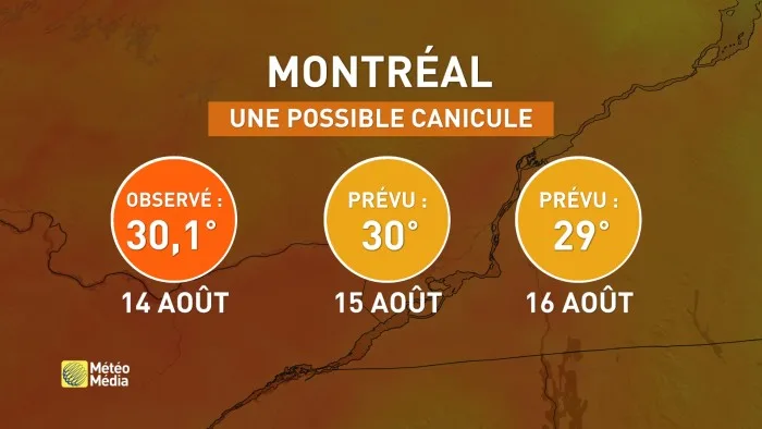 CANICULE1 (1)