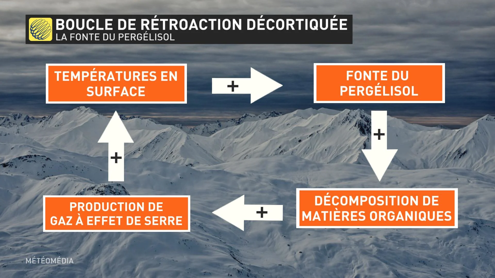 BOUCLE DE RÉTROACTION