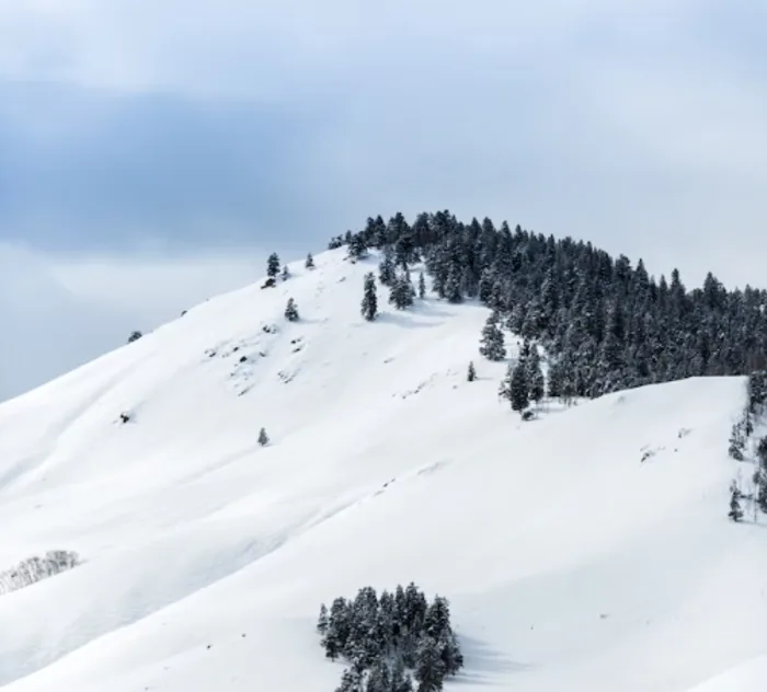 Trois étages de neige prévus en Californie