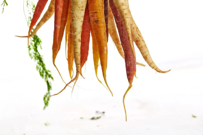 Ce légume classique est beaucoup plus bénéfique que vous le croyez !