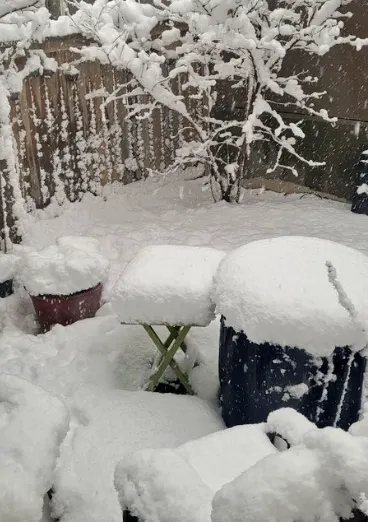 PHOTOS: Heavy snow and hail as spring shows signs of confusion in Alberta