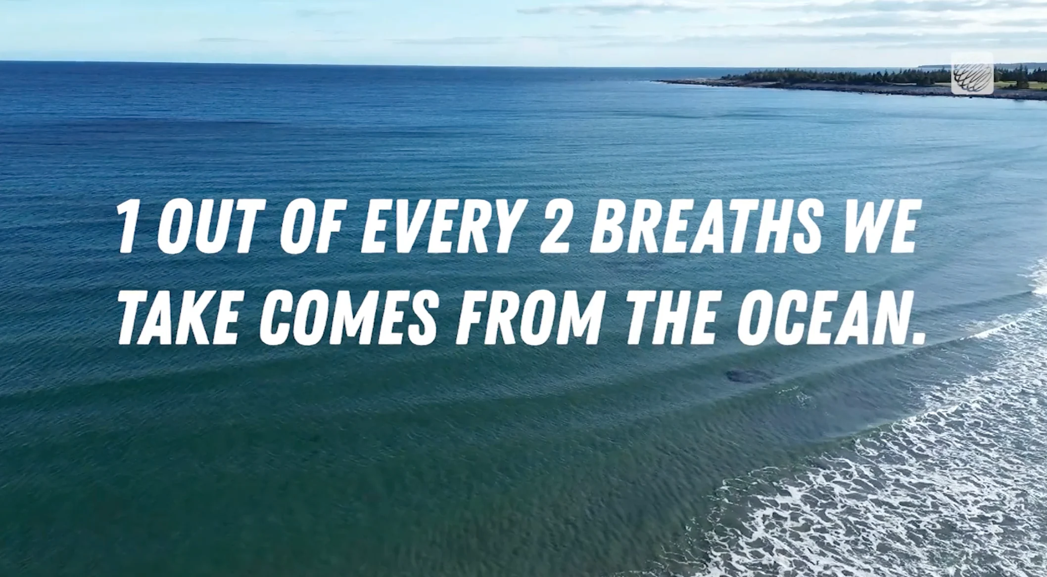 The Weather Network: Graphic - 1 out of every 2 breaths we take, comes from the ocean