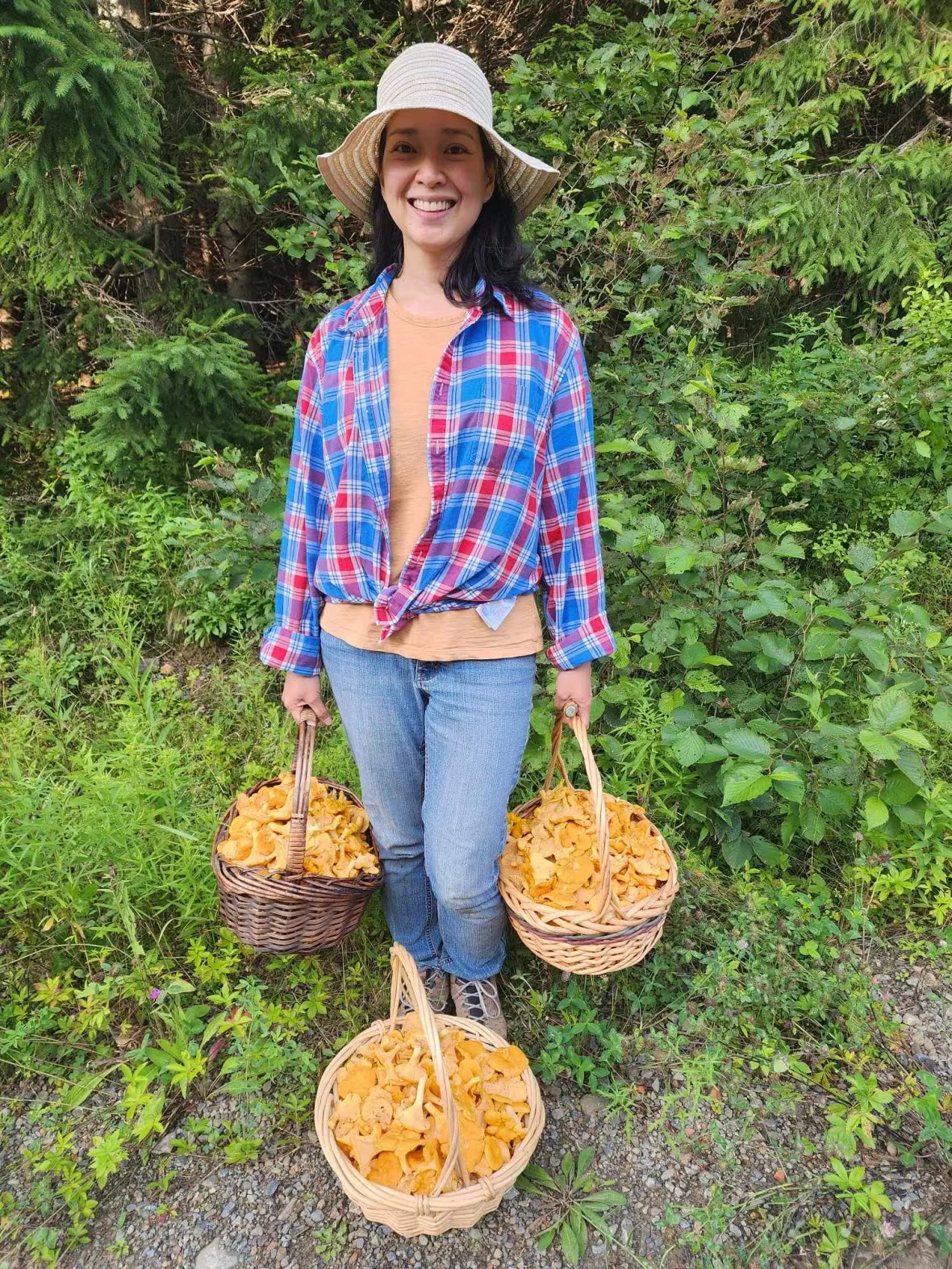 CBC: chanterelles are in abundance this season (Jason Loxton)