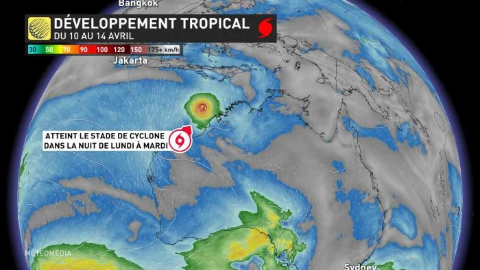 CYCLONE - DEV