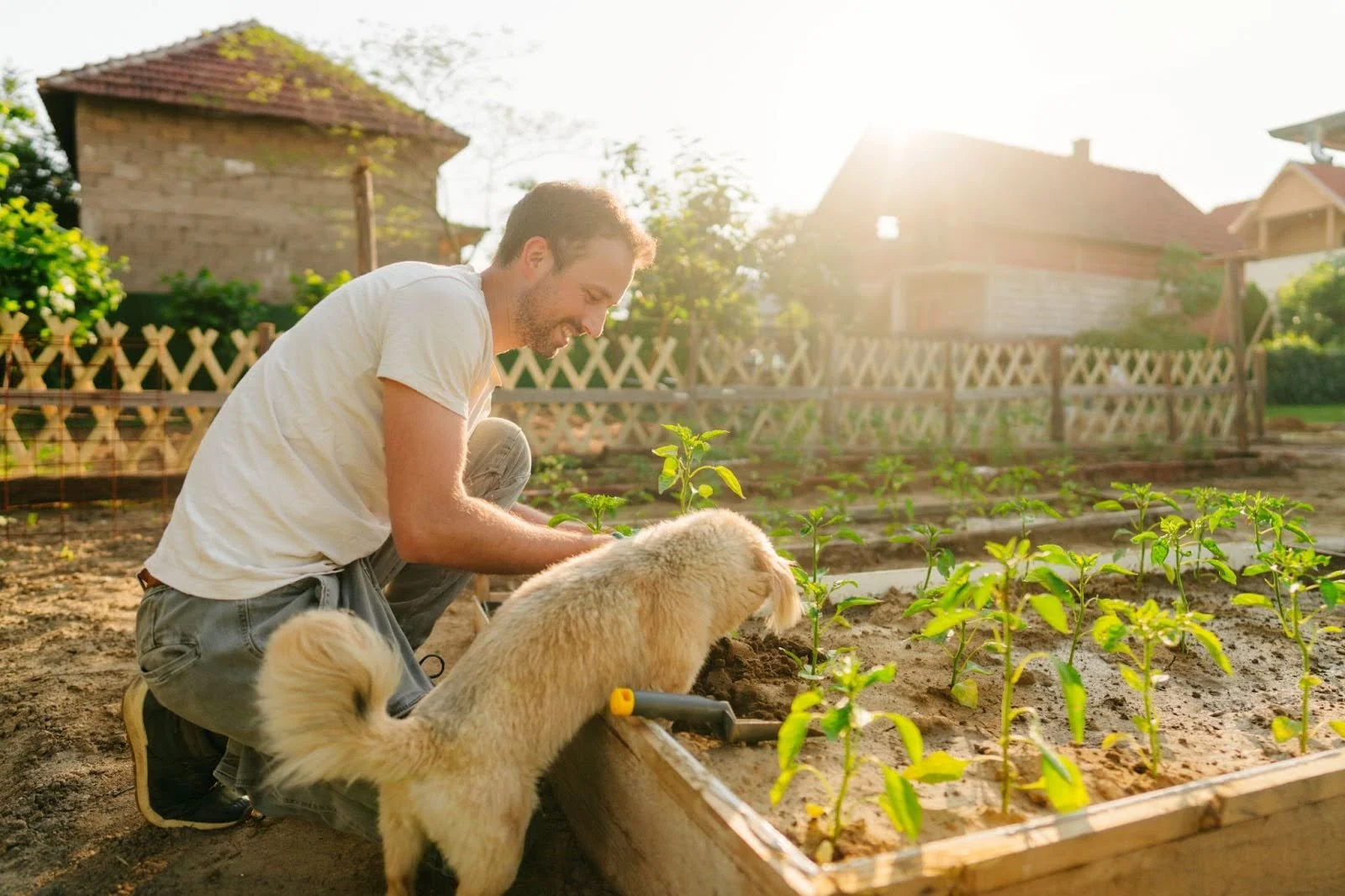 Getty Images - man and dog working in a garden