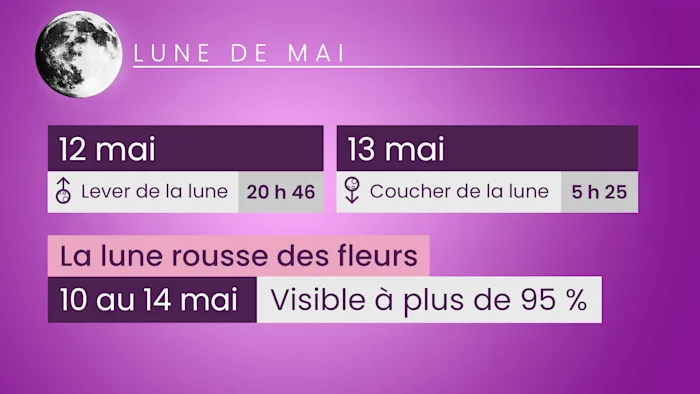 La lune rousse brûle les jeunes pousses… voyez pourquoi - MétéoMédia