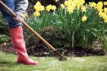 How to set your lawn up for 'green' success with these 5 easy tips 