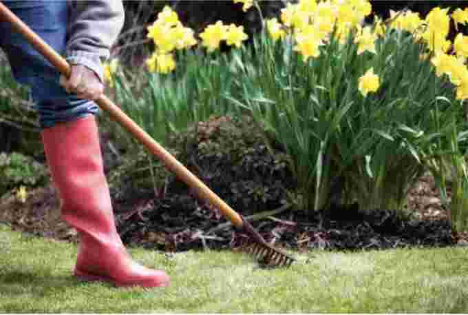 Getty Images: Raking the garden, getting ready for spring summer gardening