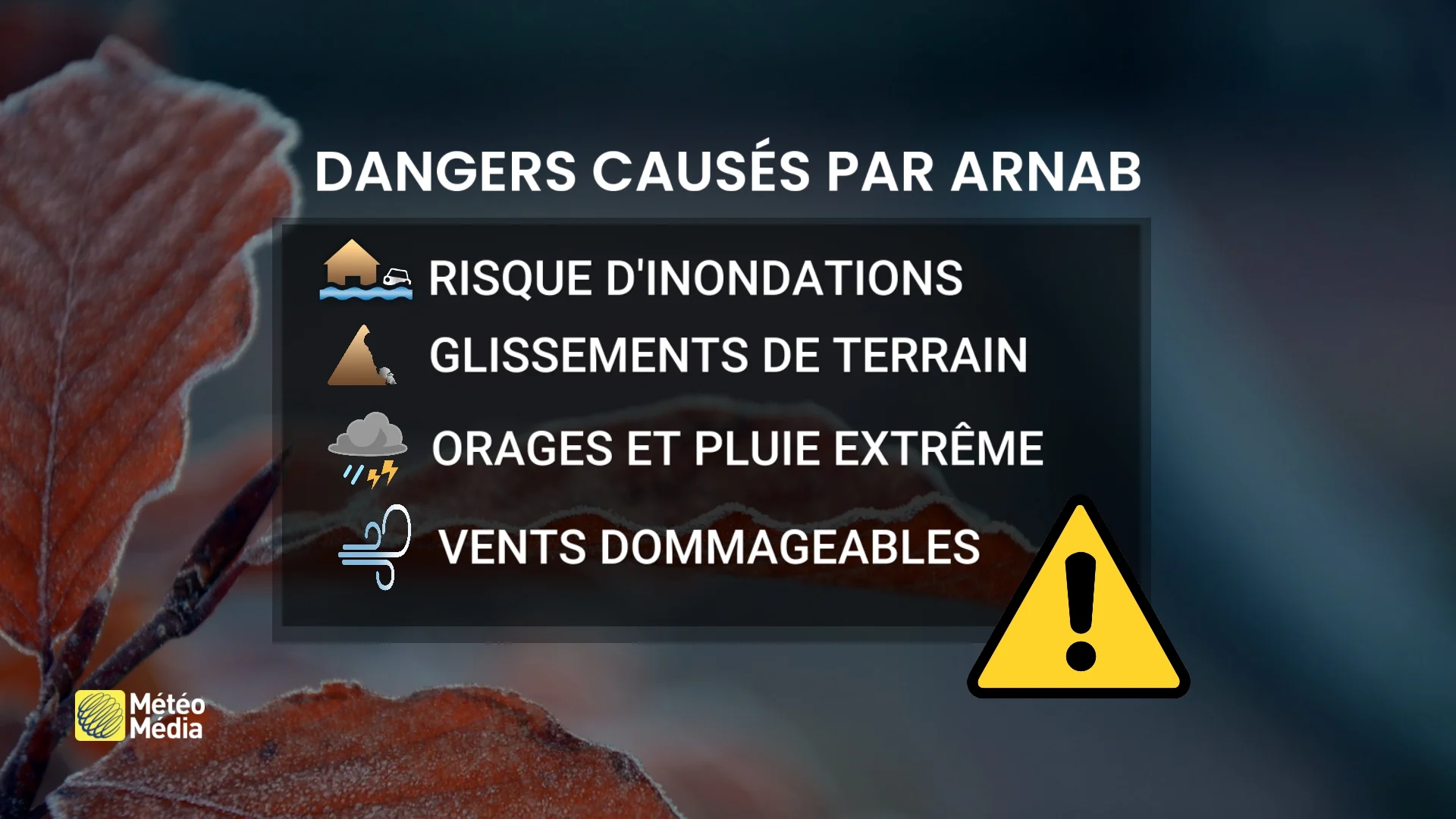 ARNAB3