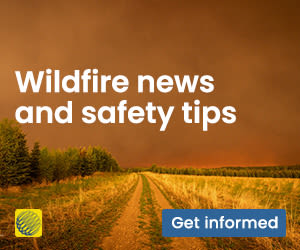 Get the latest news on wildfire in Canada, by the Weather Network.