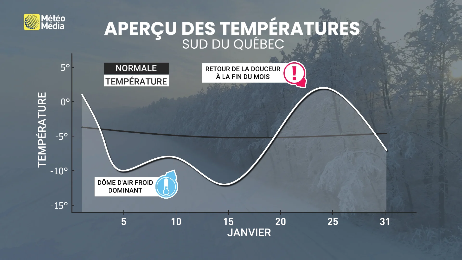 JANVIER3