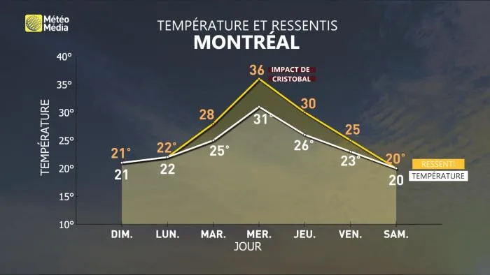 température pour la semaine