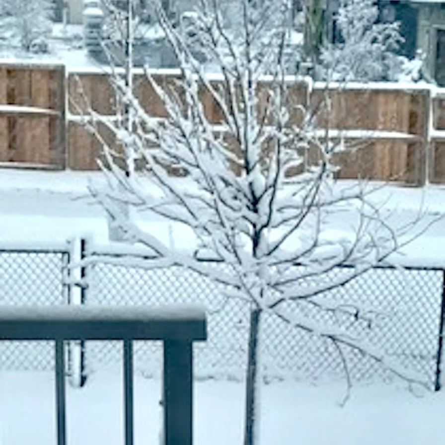 Alberta's first snowfall of the season may lead to hazardous travel