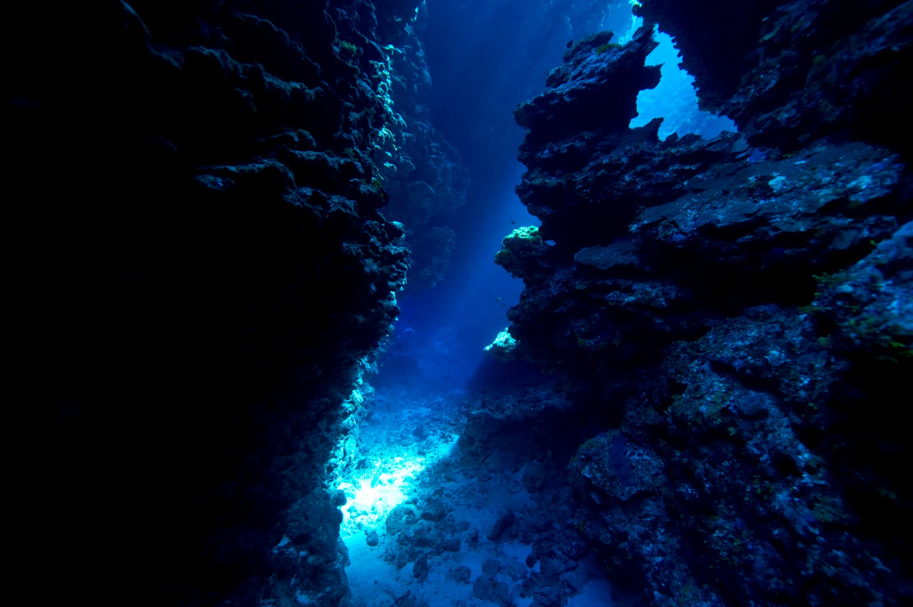 Storing carbon under the seafloor could be possible, study explores how