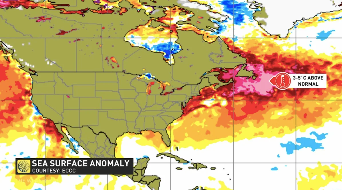 Temperature Anomolly