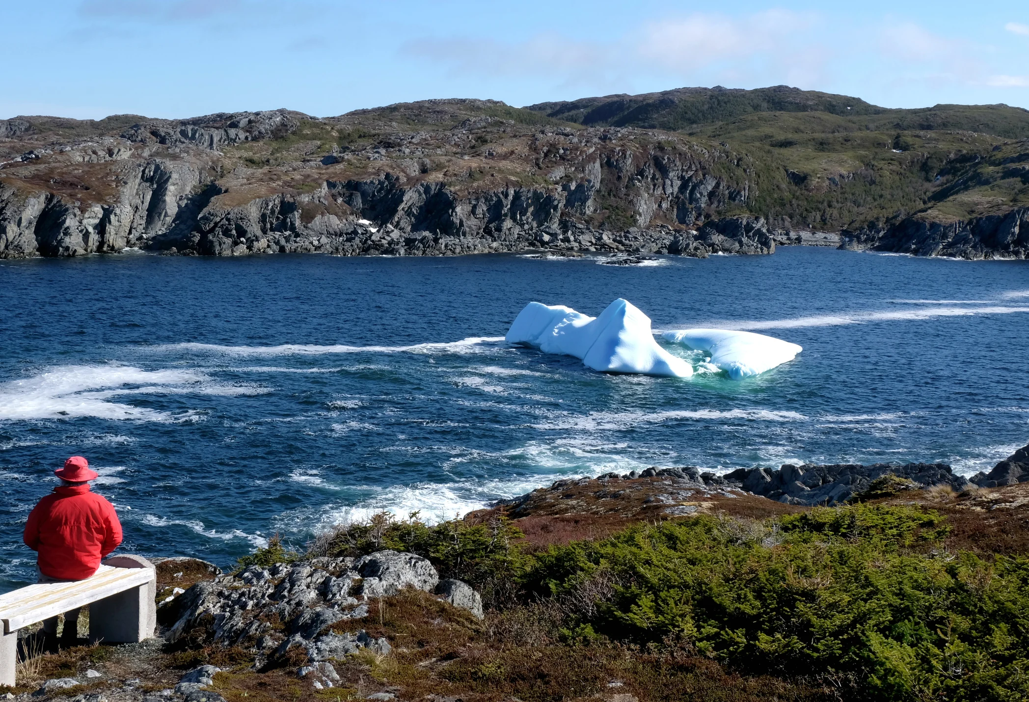 Iceberg watching in Great Brehat Bay, Newfoundland. Credit: Sandra Leidholdt. Moment. Getty Images
