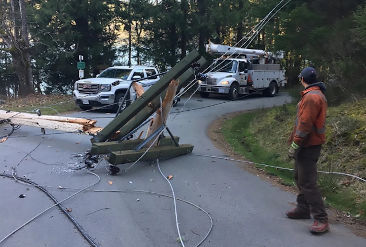 BC Hydro tree down windstorm