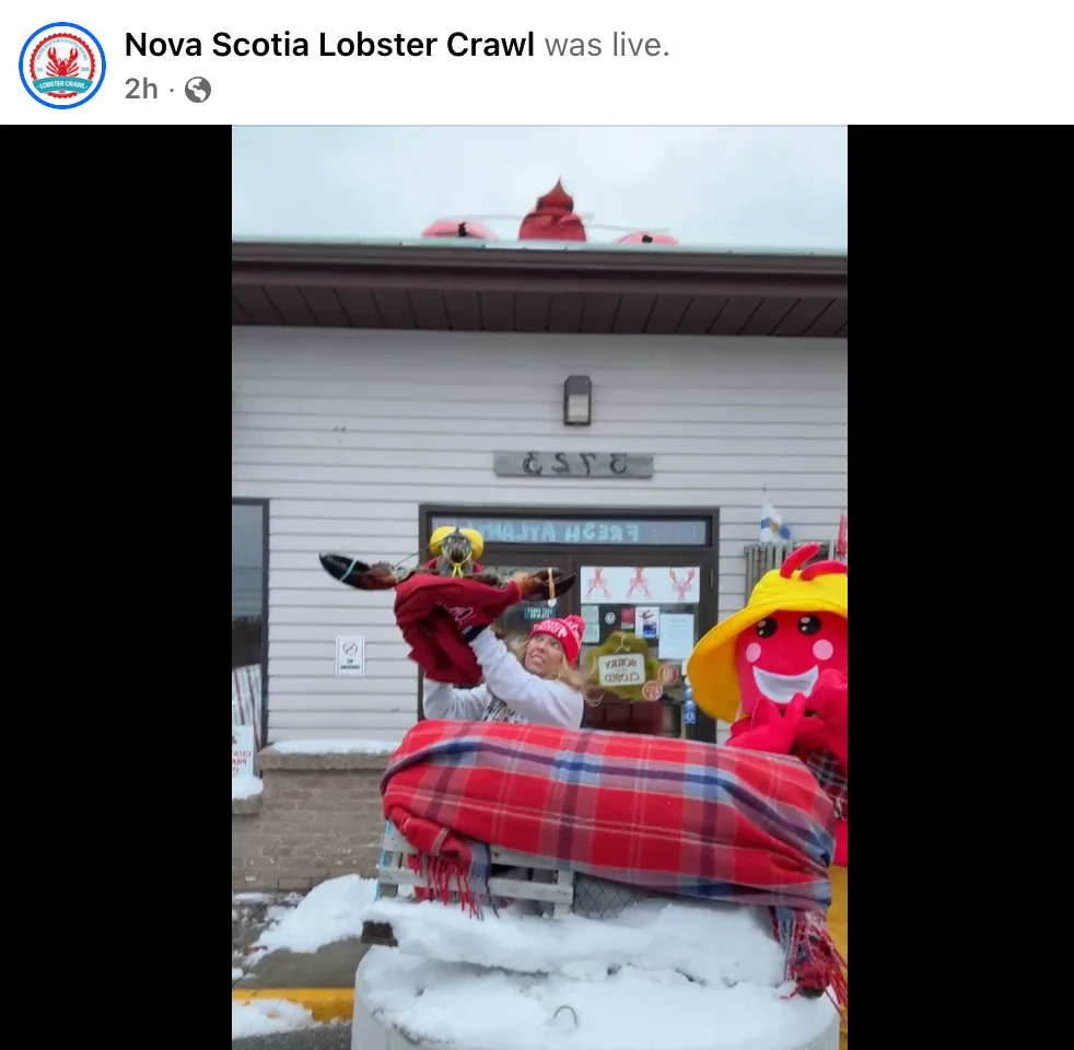 Facebook/Nova Scotia Lobster Crawl: Lucy the Lobster predicts early spring. Feb. 2, 2026.