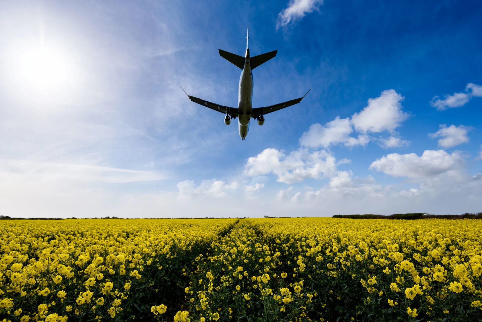 Les avions feront bientôt le plein… de moutarde