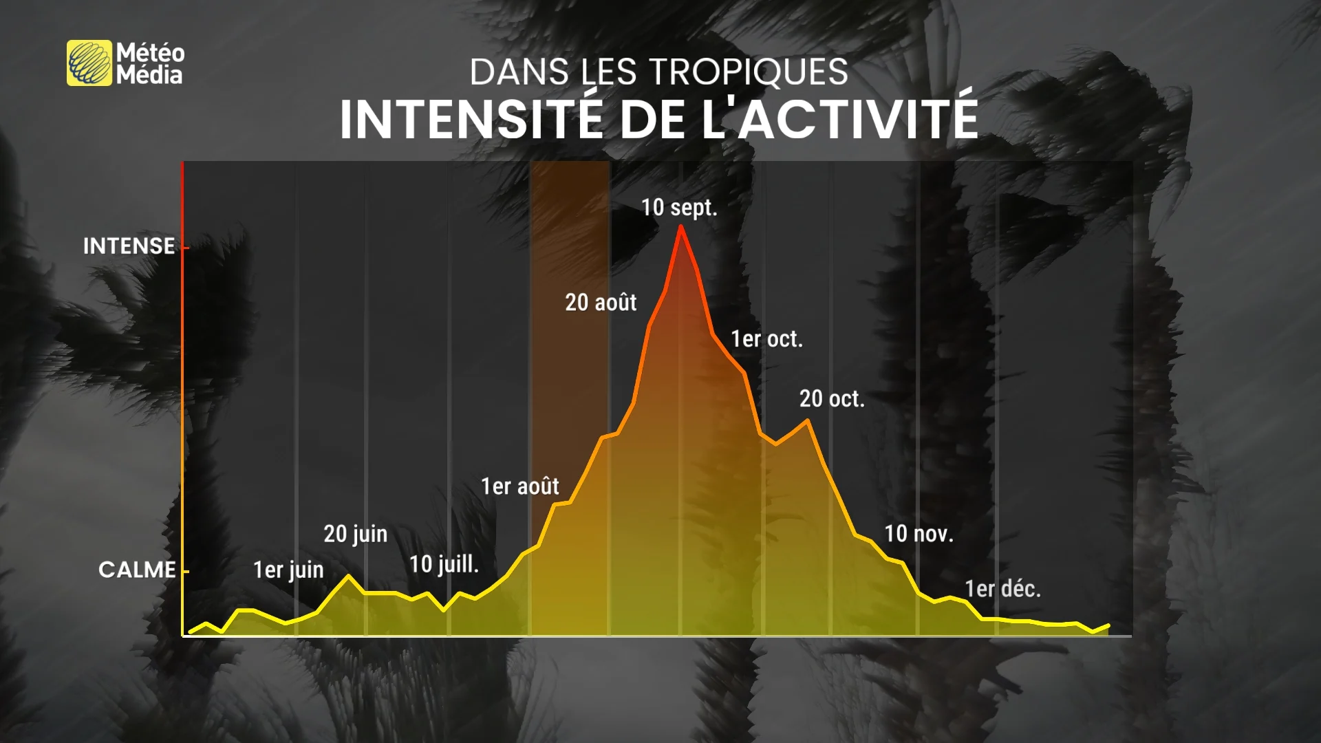 TROPIQUES4
