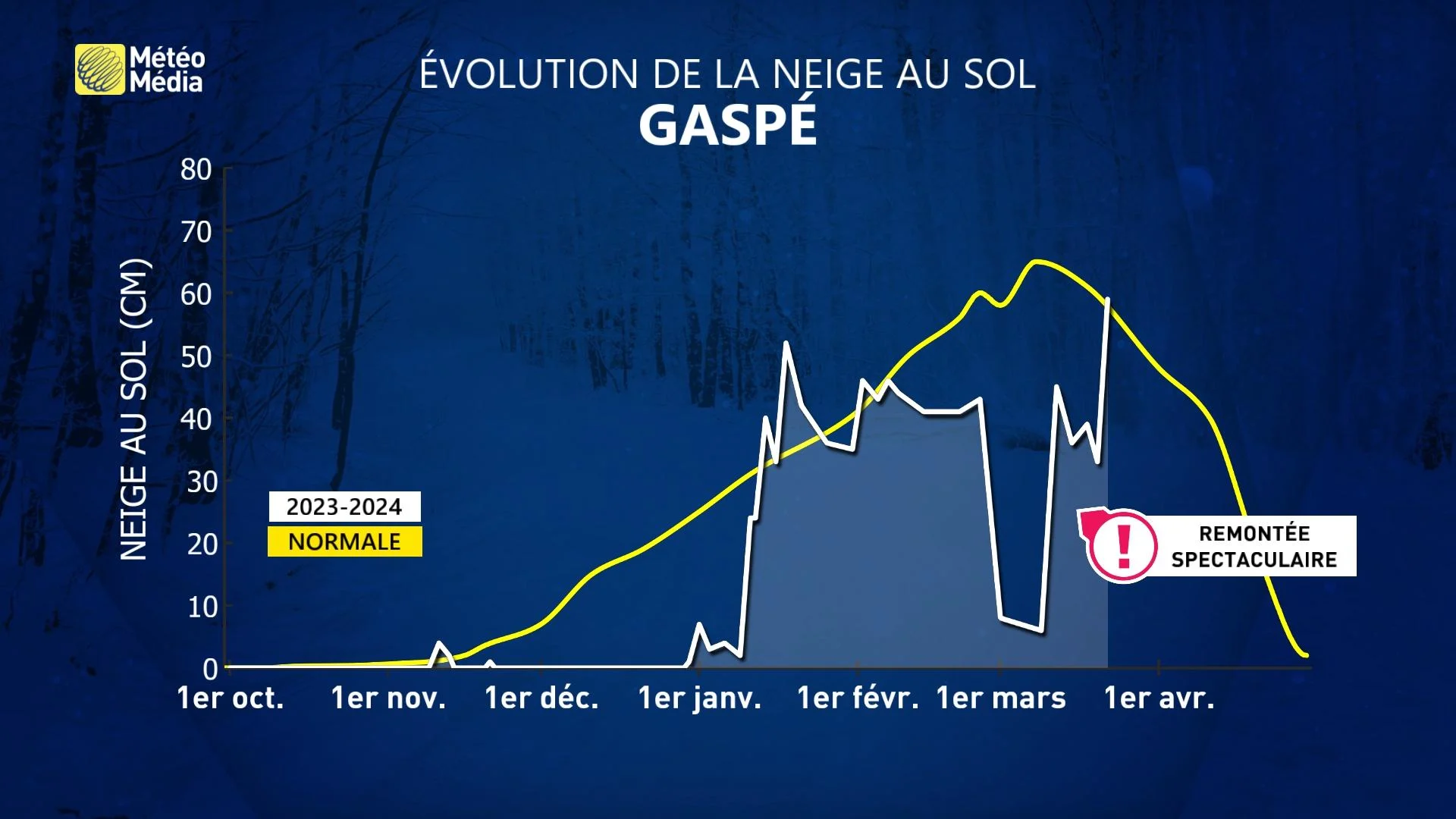NEIGE4 GASPÉ