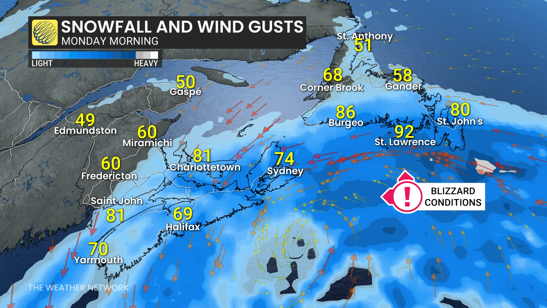 Baron - Atlantic Canada blizzard conditions Monday - Jan 29