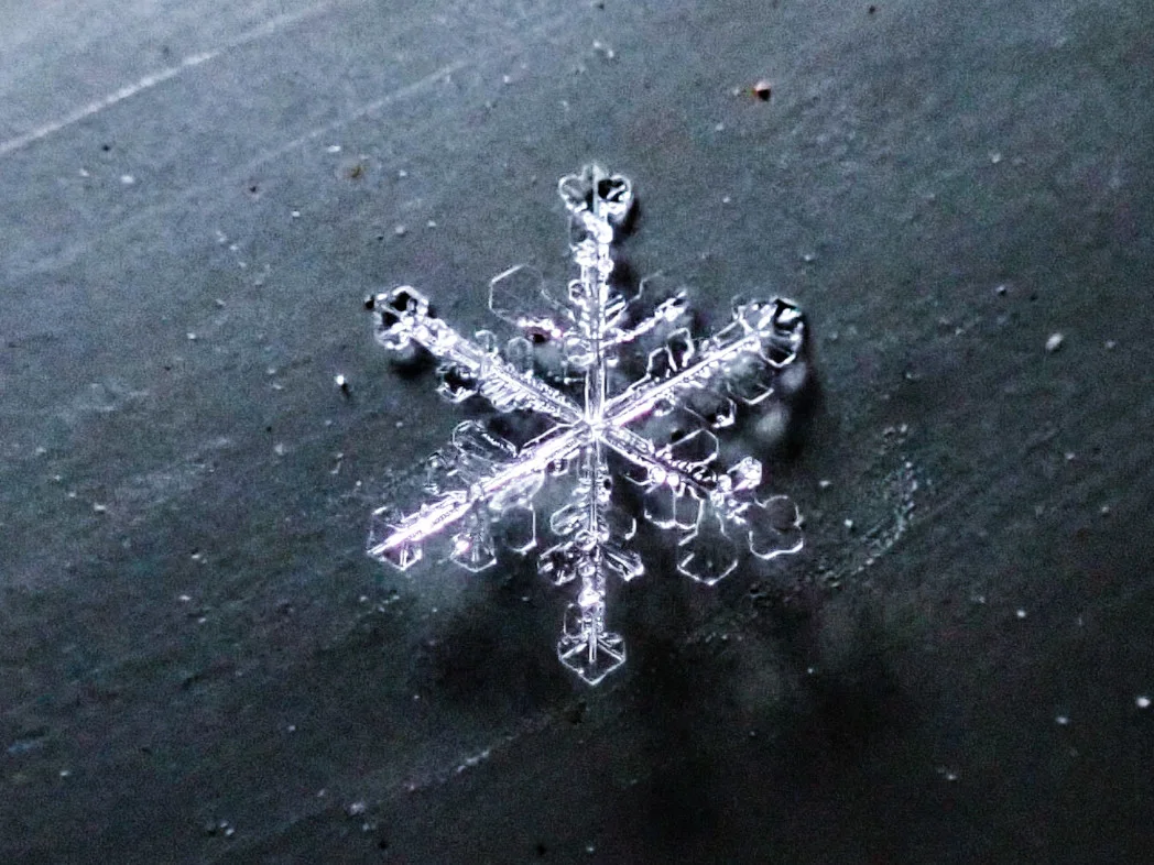 Snowflake 2: Courtesy of Kyle Brittain