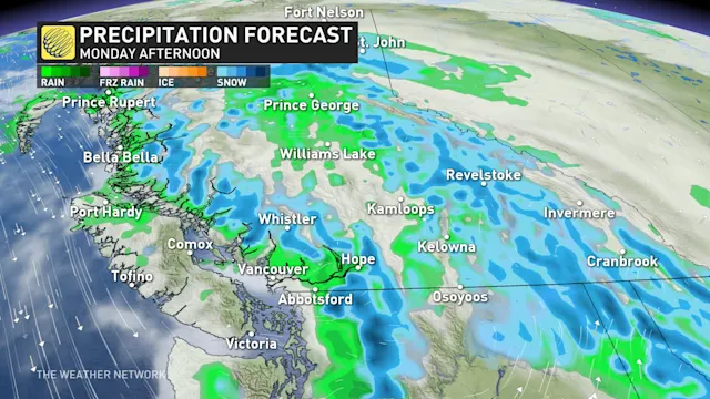 More than 100K customers in the dark in B.C. as wild winds knock out ...