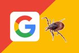 Googling tick information helps scientists, new paper says