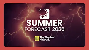Summer is officially here! How El Niño will factor into Atlantic Canada's weather this season