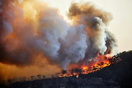 Australia wildfires/Getty Images