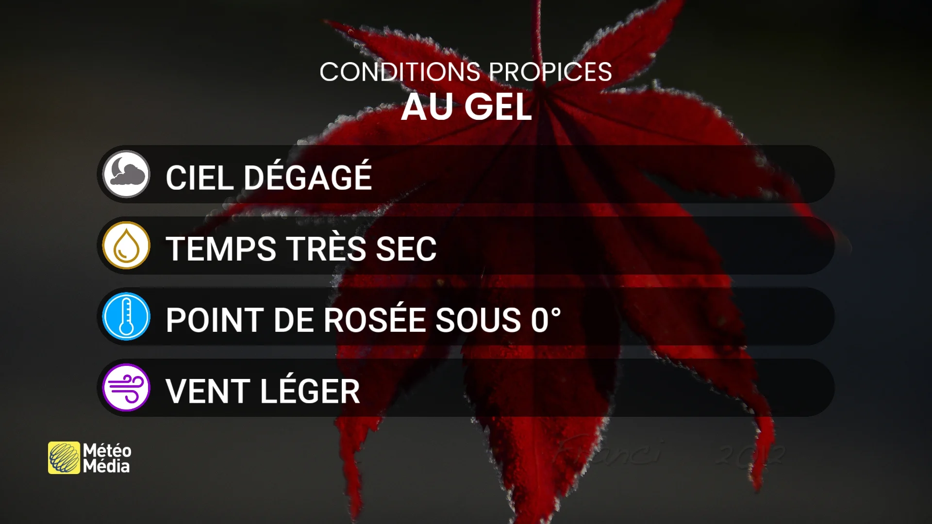 GEL2