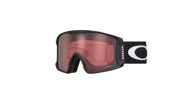 Sport Chek CANVA goggles winter hiking