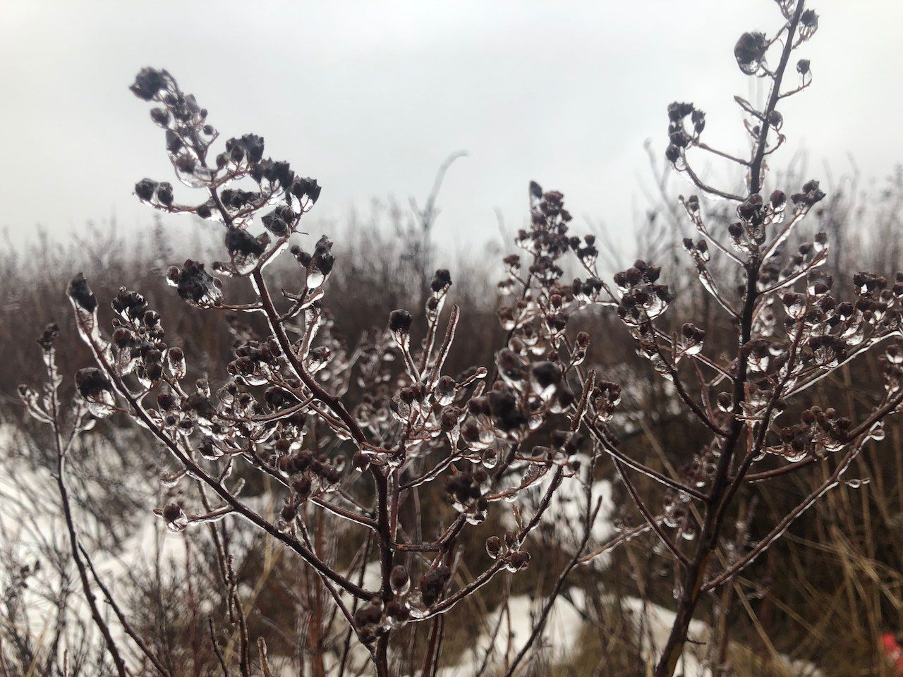 School cancellations and power outages as snow and ice hit Atlantic Canada