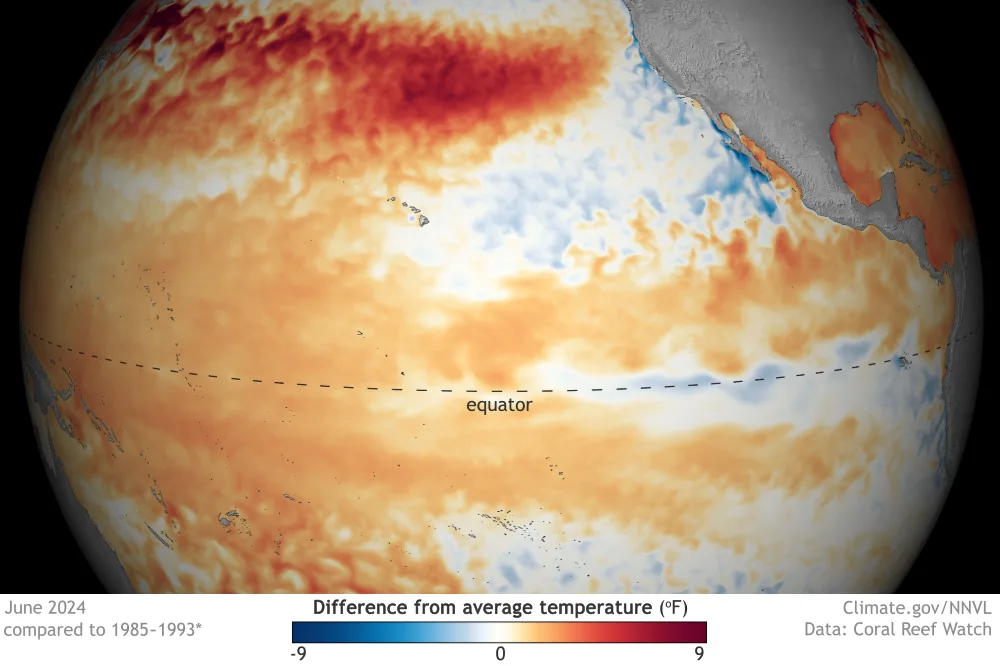 enso neutral map june 2024