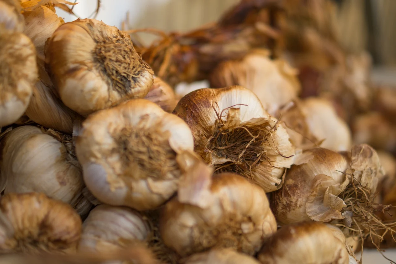 food-garlic-market-10677