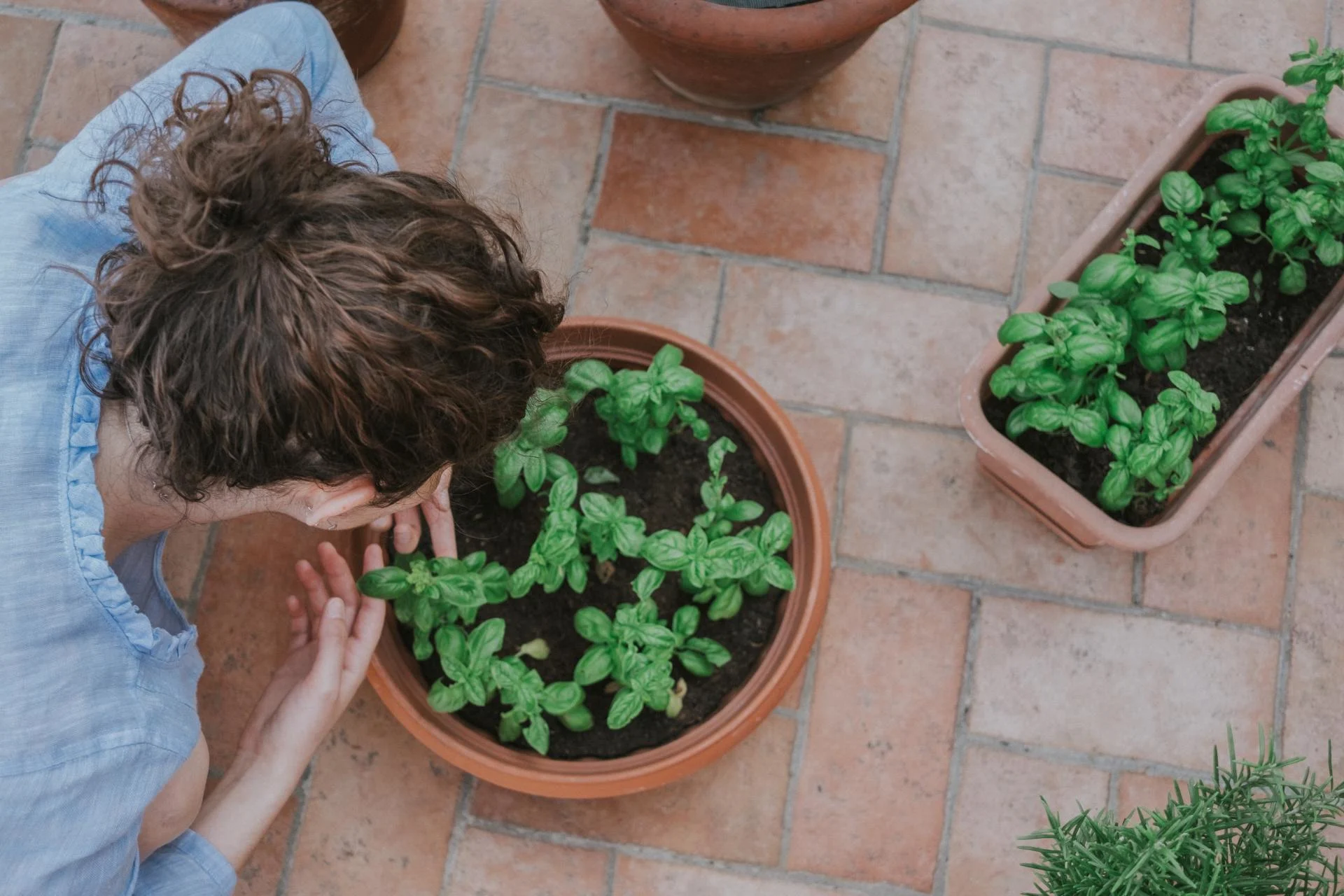 Don't have the mobility or space for a garden? Here are some tips.