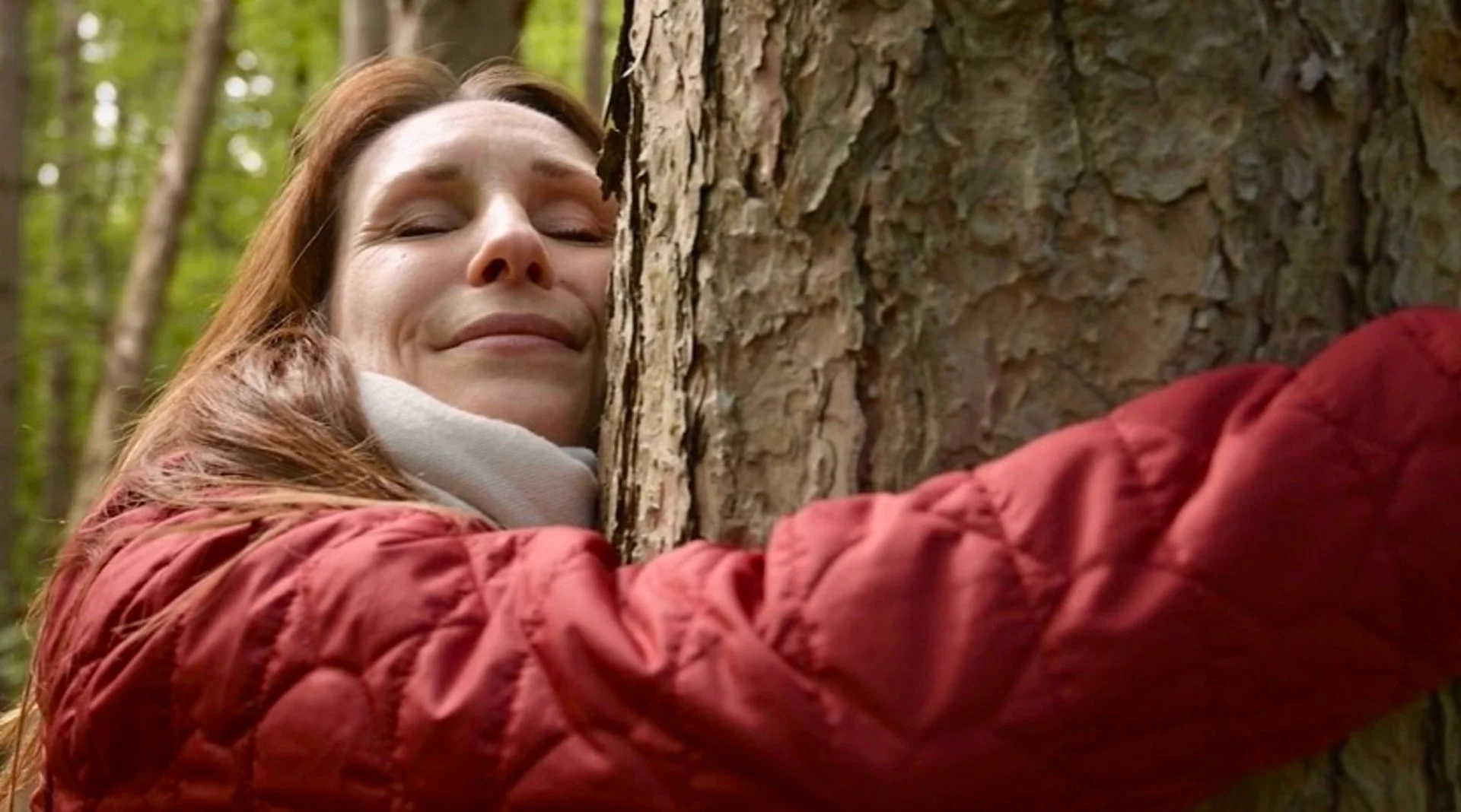 La nature : un remède naturel contre le stress