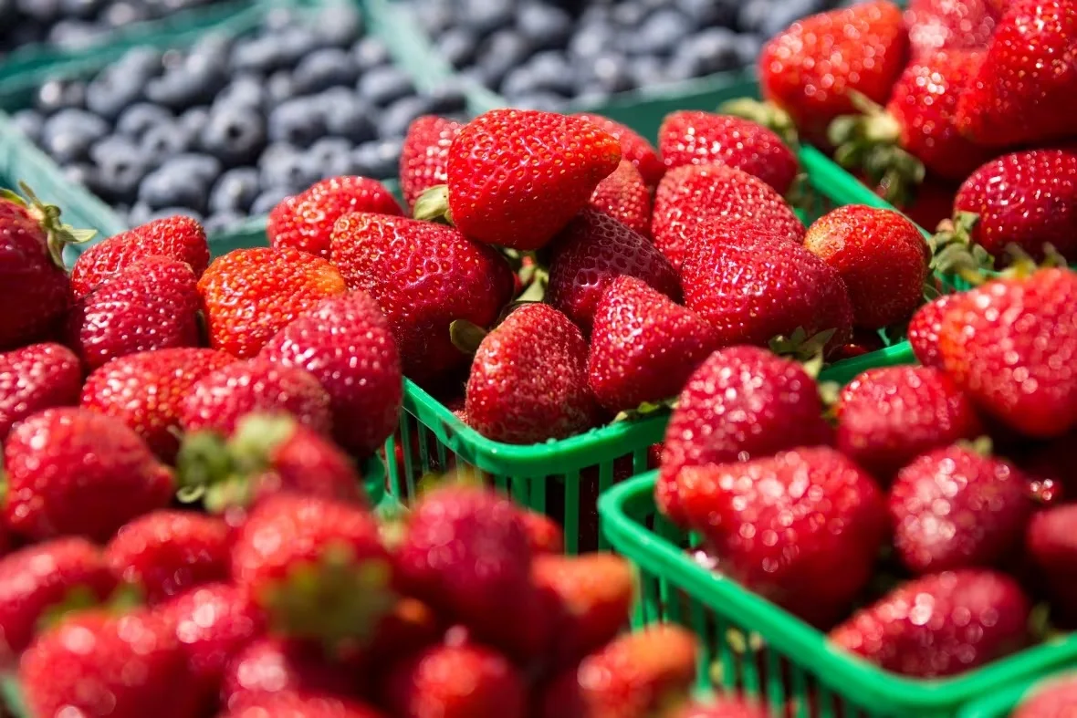 Strawberries/David Donnelly/CBC
