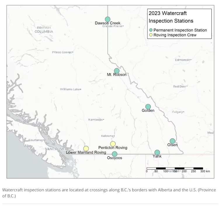 'Razor-sharp shells': Invasive mussels are threatening Okanagan's ...