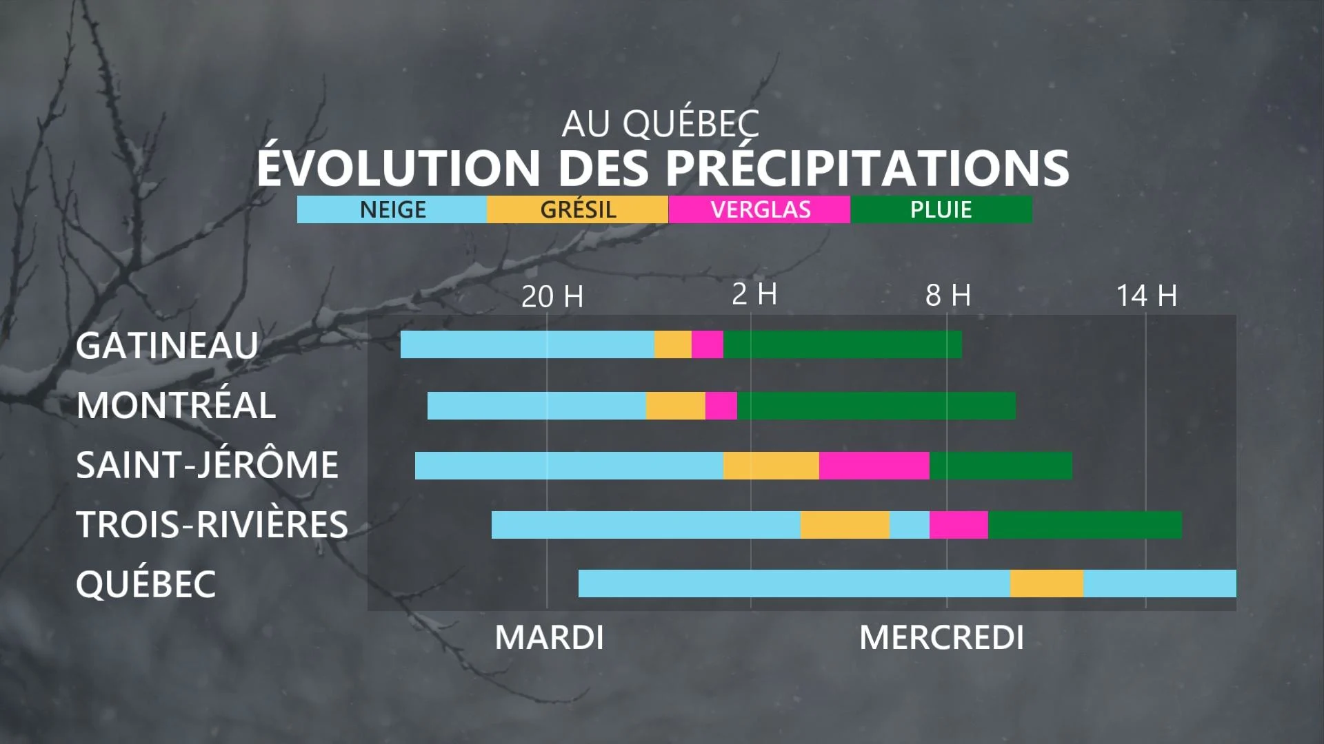 TYPES DE PRECIP EVO