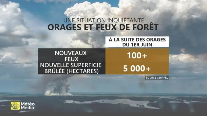 TABLEAU2