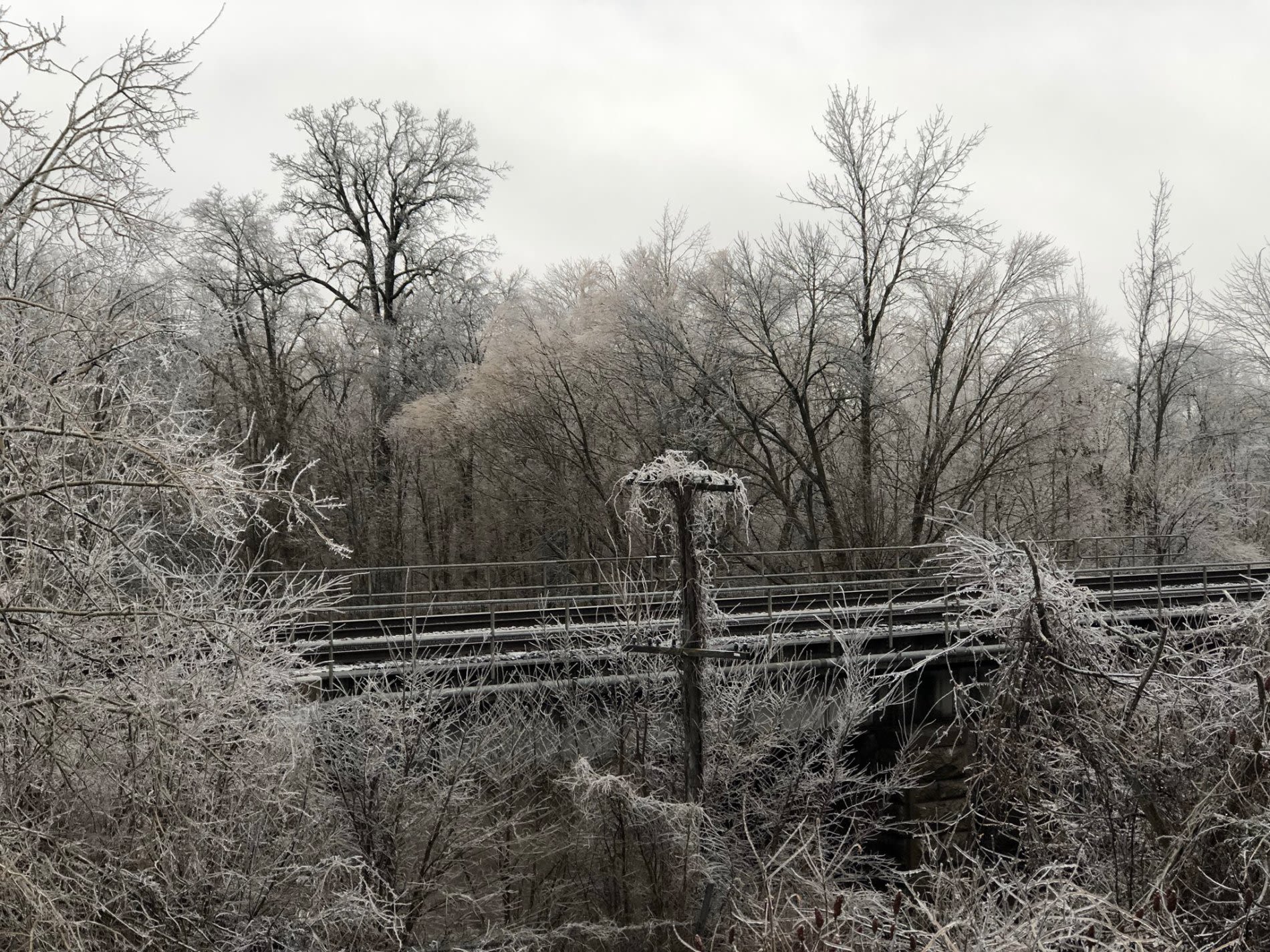 IN PHOTOS: Freezing rain coats Ontario with ice, impacts travel and ...
