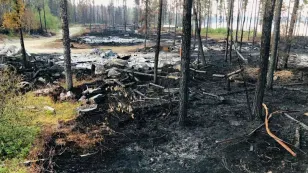 Wildfires, climate change shifting the way some Quebec Cree hunt