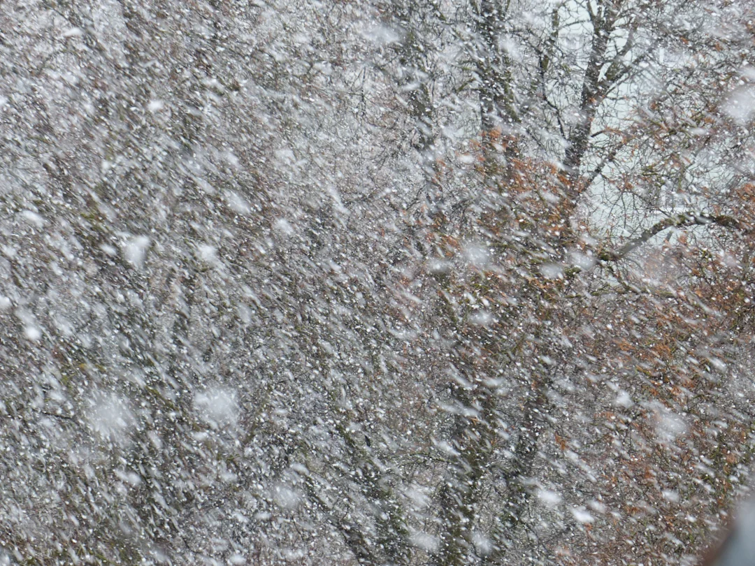 Waterloo's weather forecast for March 21 Scattered flurries and cloudy