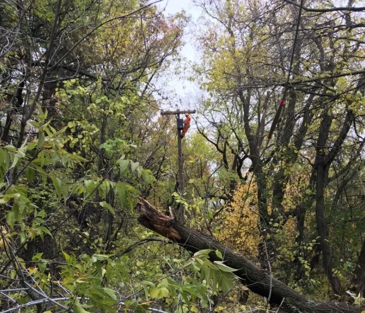 cbc manitoba damage power line