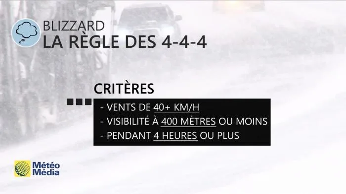 BLIZZARD3 - CRITERE