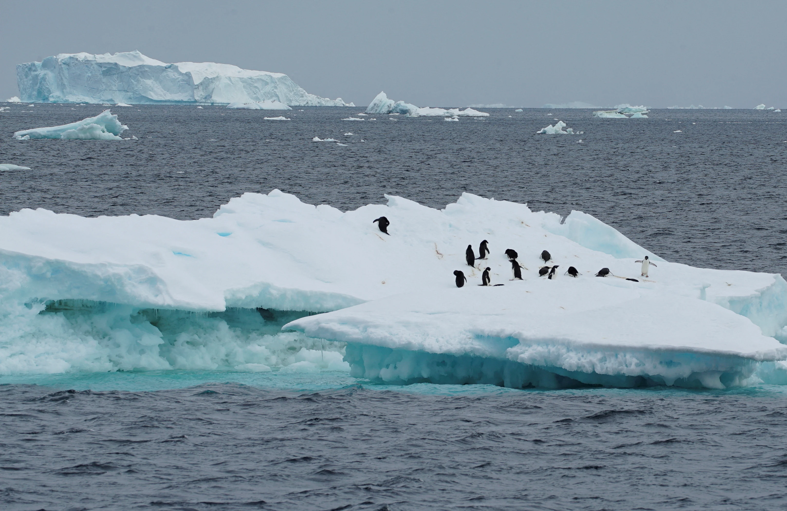 Reuters - 2023-03-29T155854Z 3 LYNXMPEJ2S0OR RTROPTP 4 CLIMATE-CHANGE-ANTARCTIC-WATERS